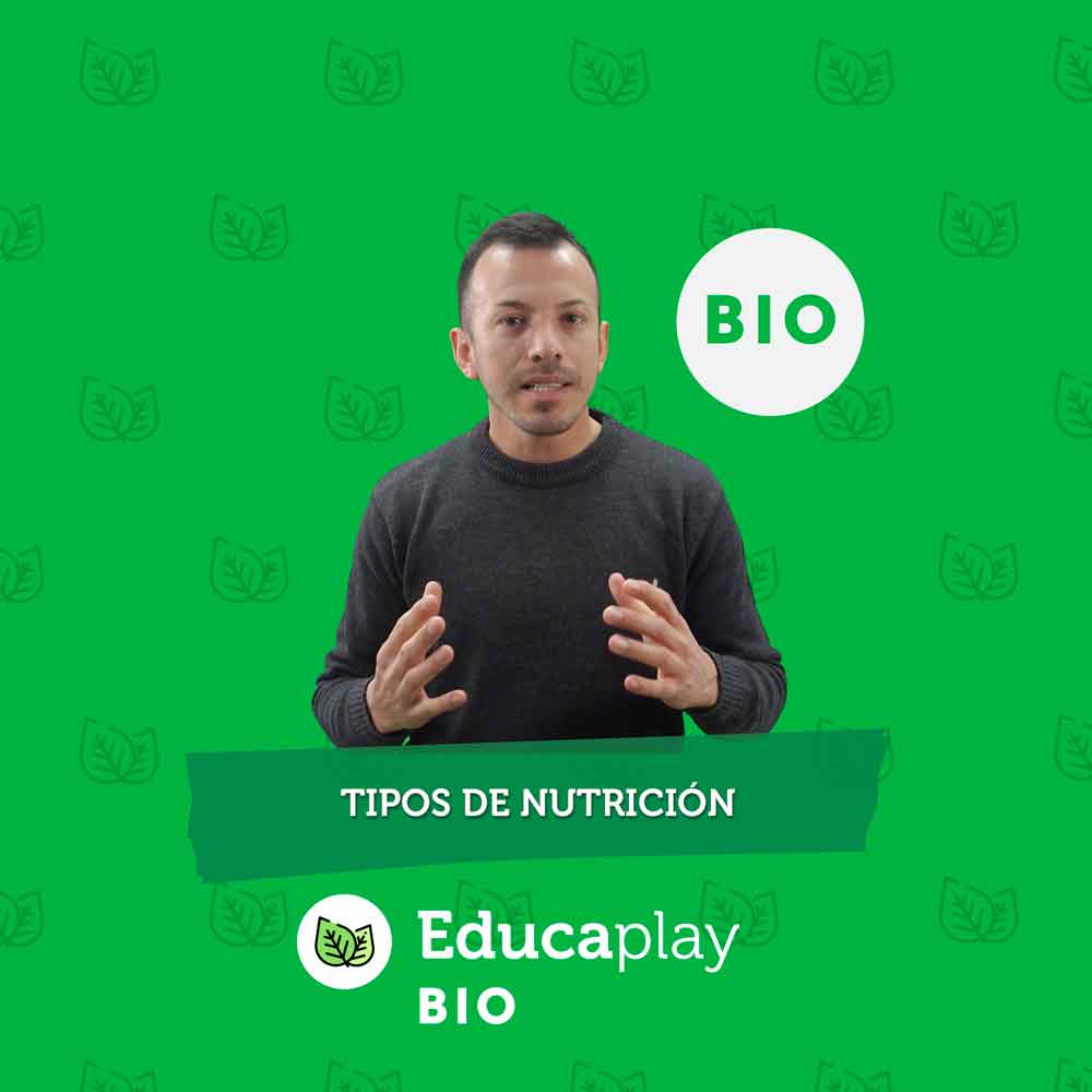 020 - Tipos de nutrición