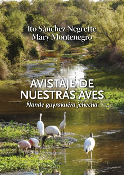 Avistaje de nuestras aves. 