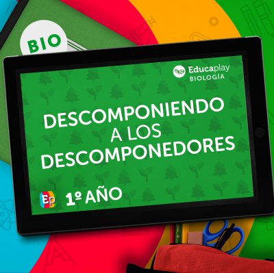 016 - Descomponiendo a los descomponedores