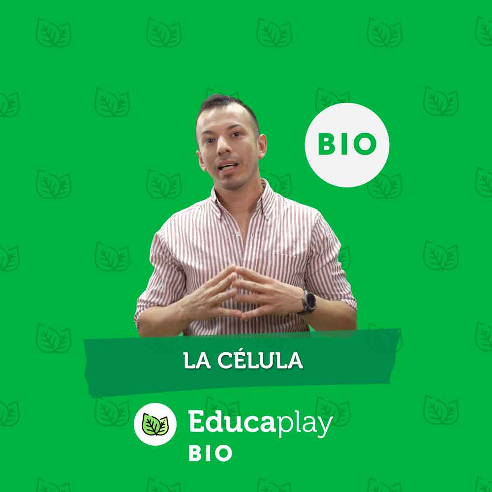 005 - La célula