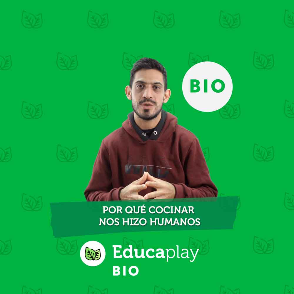 023 - ¿Por qué cocinar nos hizo humanos?