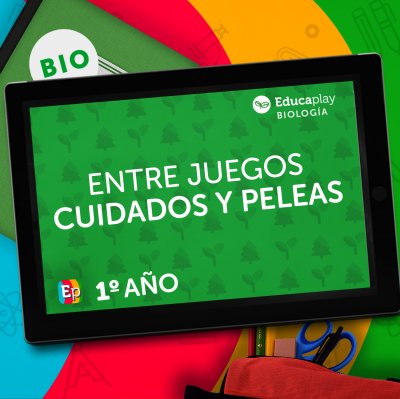 024 - Entre juegos cuidados y peleas