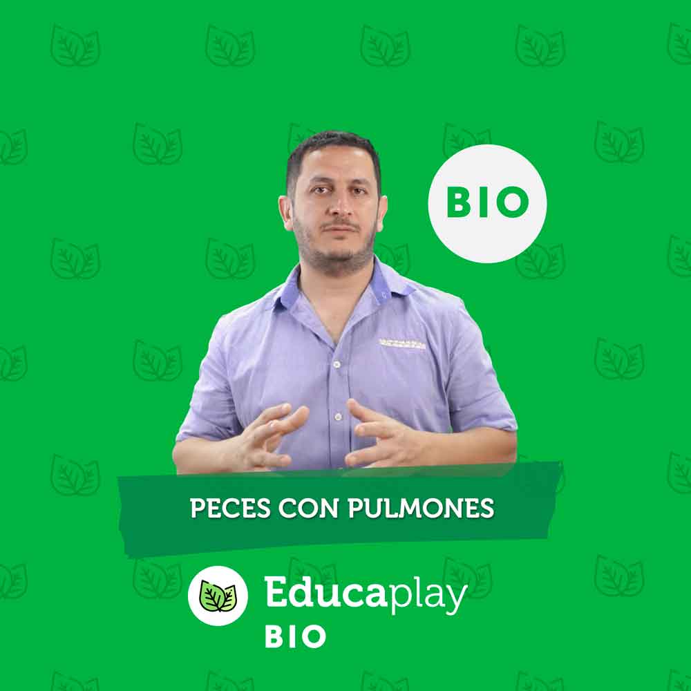 029 - Peces con pulmones