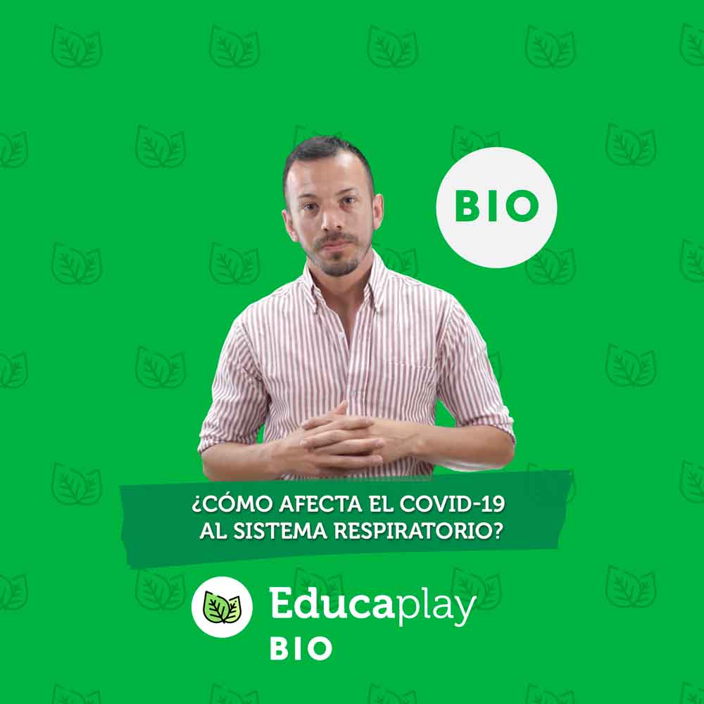030 - ¿Cómo afecta el COVID-19 al sistema respiratorio?