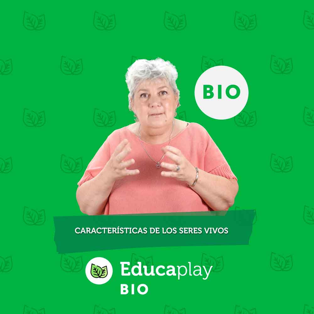 004 - Características de los seres vivos