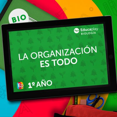 014 - La organización es todo