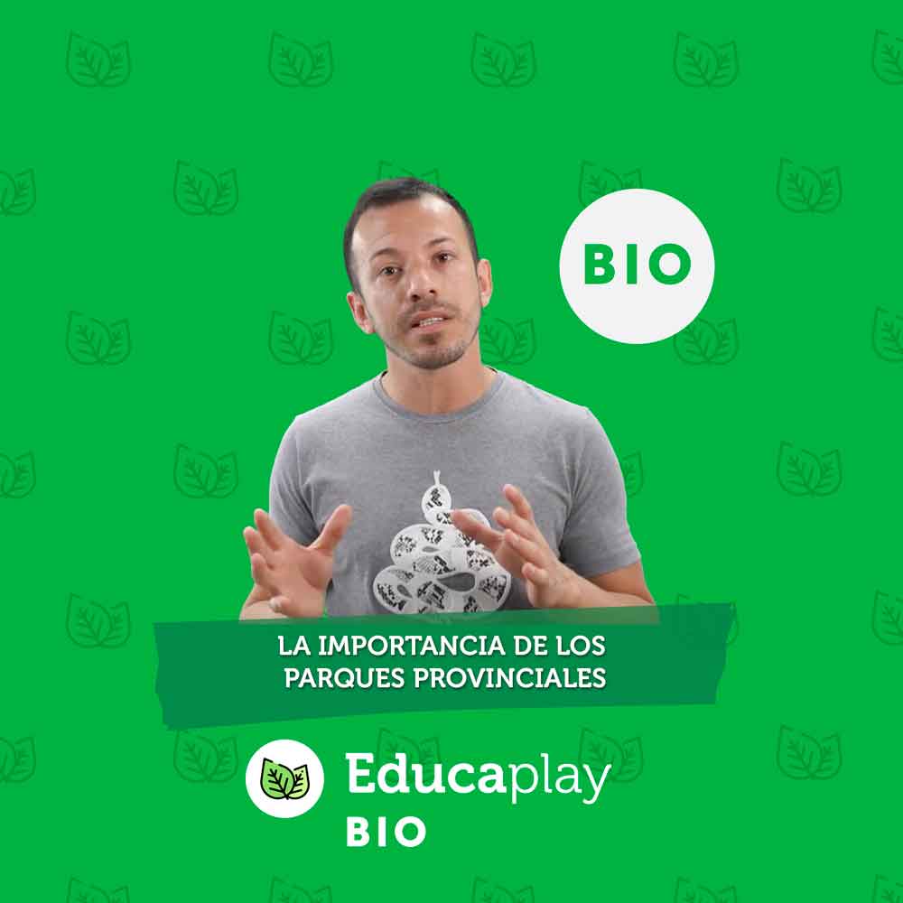 039 - La importancia de los parques provinciales