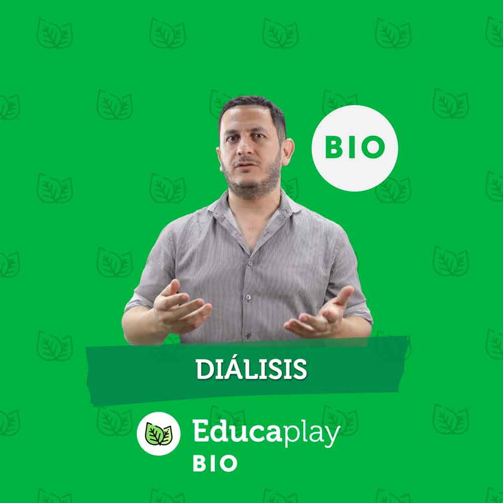 035 - Diálisis